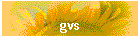 gvs